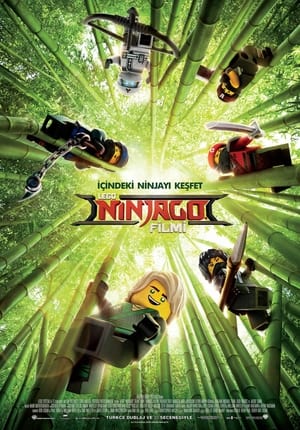 Image Lego Ninjago Filmi