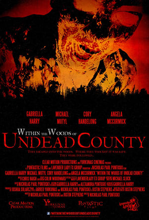 Image Within the Woods of Undead County
