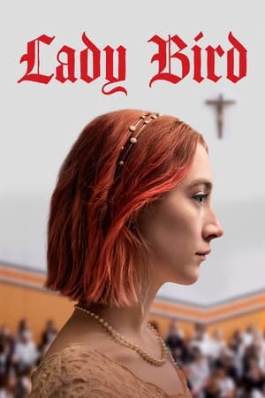 Poster Lady Bird 2017