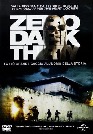 Poster Zero Dark Thirty 2012