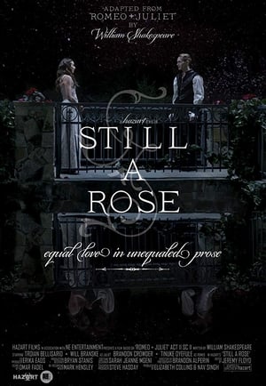 Poster Still a Rose 2015