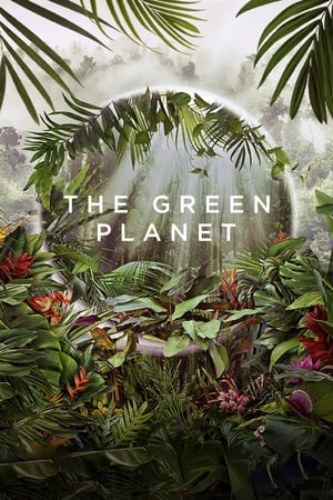 Poster The Green Planet Season 1 Water Worlds 2022