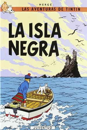 Poster La isla negra 1991