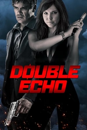 Poster Double Echo 2017