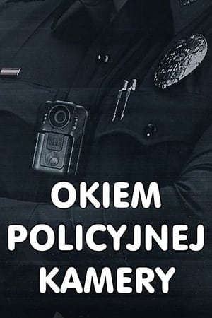Image Okiem policyjnej kamery
