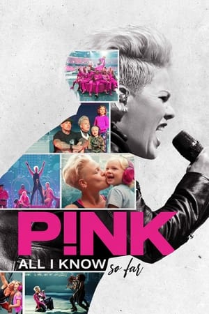 Poster P!nk: All I Know So Far 2021