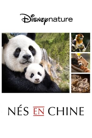 Poster Nés en Chine 2016