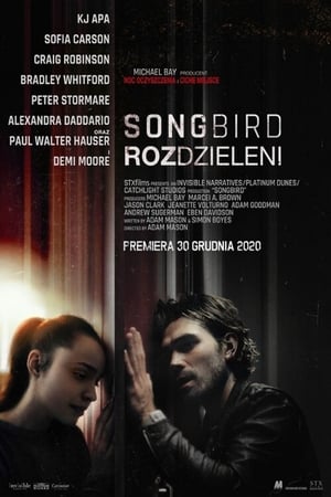 Poster Songbird. Rozdzieleni 2020