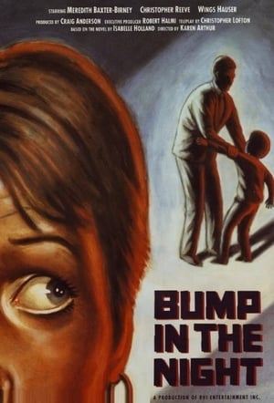 Poster Bump in the Night 1991