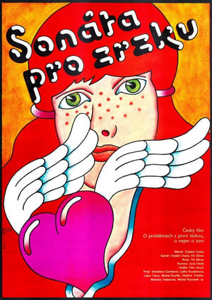 Poster Sonáta pro zrzku 1981