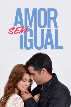 Poster Amor sem Igual Season 1 Episode 143 2021