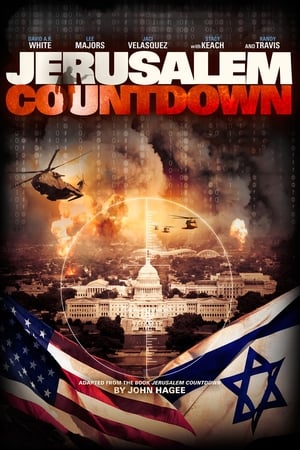 Poster Jerusalem Countdown 2011
