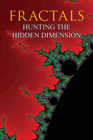 Image Fractals: Hunting the Hidden Dimension