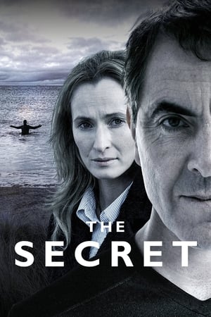 Poster The Secret 2016