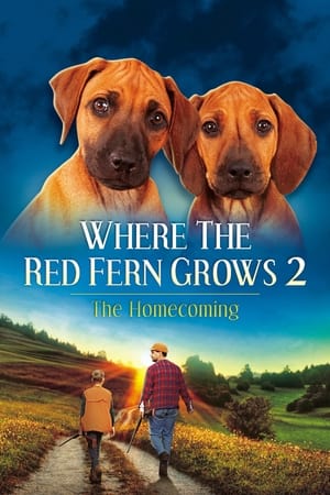 Poster Where The Red Fern Grows Part 2 1992