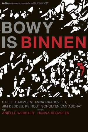 Poster Bowy is binnen 2012