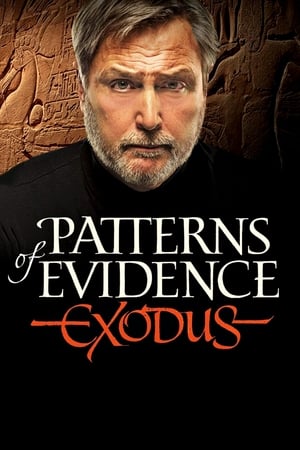 Poster Patterns of Evidence: The Exodus 2014