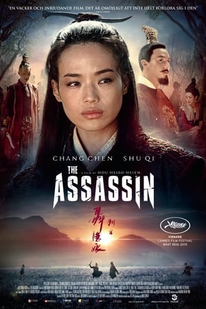 Poster The Assassin 2015