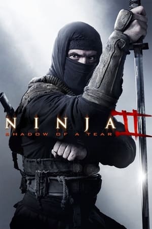 Poster Ninja 2: La sombra de la muerte 2013