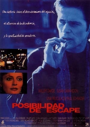 Poster Posibilidad de escape 1992