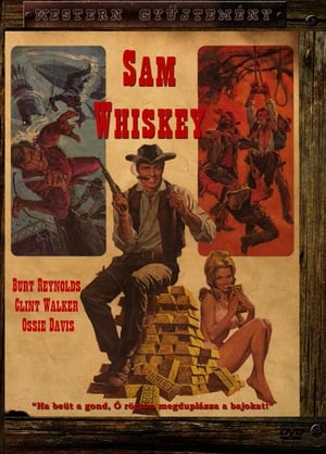 Poster Sam Whiskey 1969