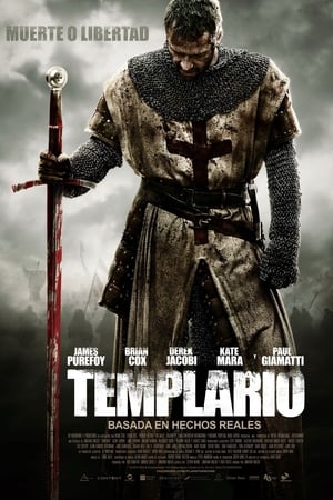 Poster Templario 2011