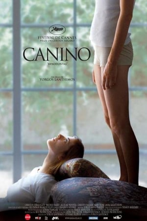 Poster Canino 2009