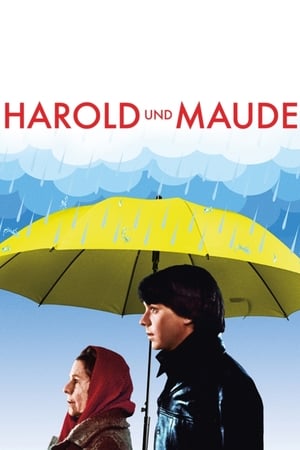 Poster Harold und Maude 1971