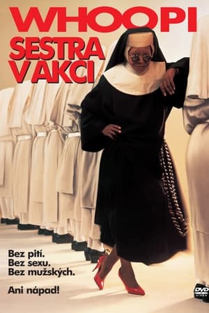 Poster Sestra v akci 1992
