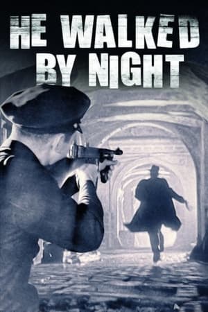 Poster Schritte in der Nacht 1949