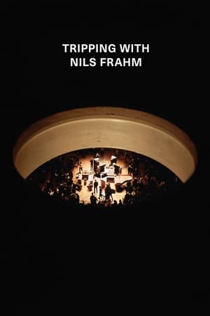 Poster Tripping with Nils Frahm 2020