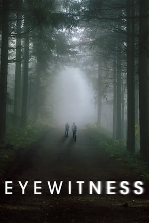 Poster Eyewitness Season 1 Episode 6 2016