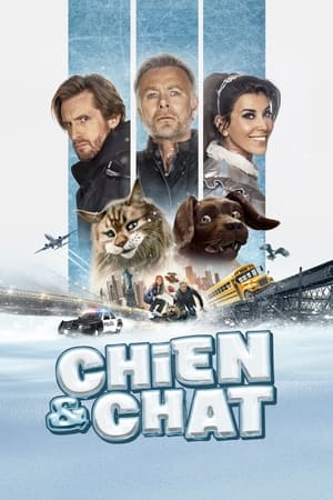 Poster Chien et Chat 2024
