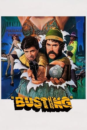 Poster Busting 1974