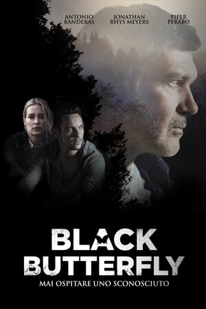 Poster Black Butterfly 2017