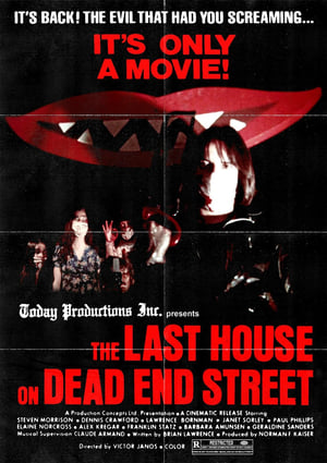 Poster 最后的房子是死路 1977