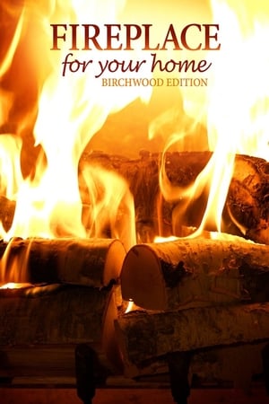 Poster Fireplace for Your Home: Birchwood Edition 2011