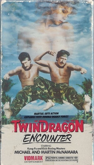 Poster Twin Dragon Encounter 1986