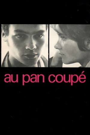 Poster Au pan coupé 1968