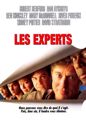 Poster Les Experts 1992