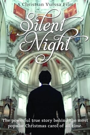 Poster Silent Night 2013