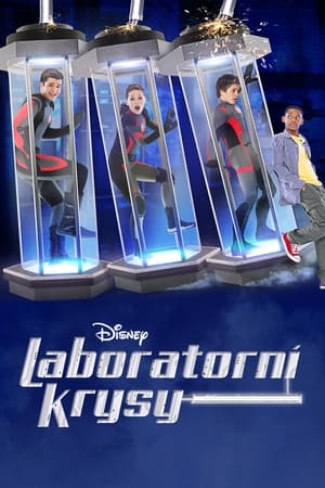 Poster Laboratorní krysy 2012