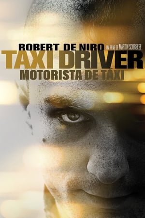 Image Taxi Driver