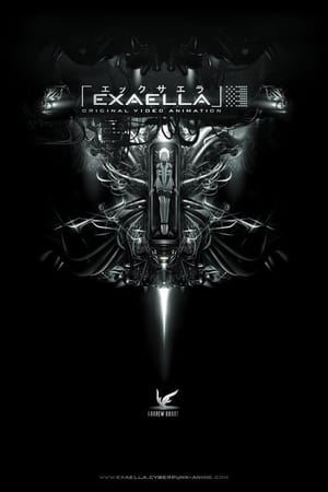 Poster Exaella 2011