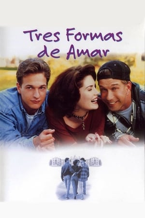 Poster Três Formas de Amar 1994