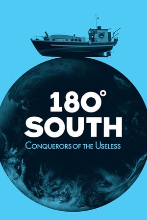 Poster 180° South 2010