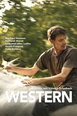Poster Western 2017