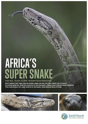 Image La super serpiente Africana