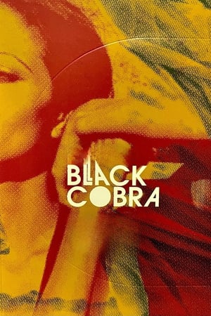 Image Black Cobra