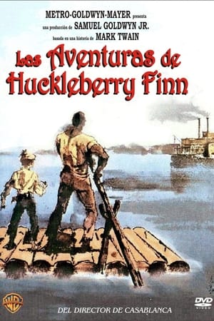 Image Las aventuras de Huckleberry Finn